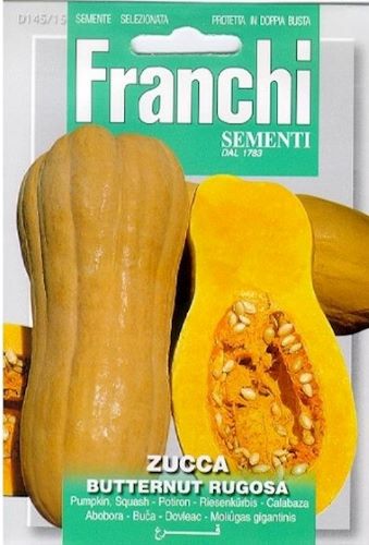 Squash Zucca Butternut Rugosa Seeds